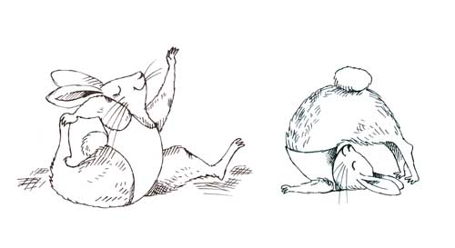 Yoga Bunnies Illustrator Portfoilio Illustration Artist
