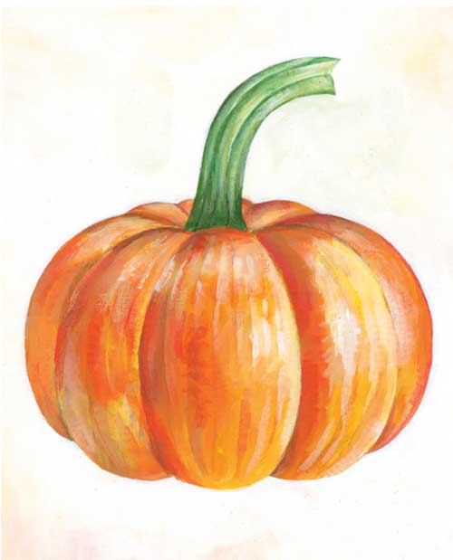 Pumpkin Illustrator Portfoilio Illustration Artist